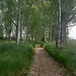 Tordesillas, Miralduero Tordesillas