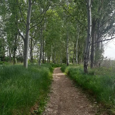 Tordesillas, Miralduero Tordesillas